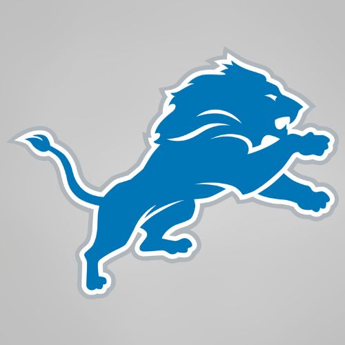 DETROIT LIONS