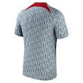 Liverpool Nike 2023/24 Pre-Match Performance Top - Gray