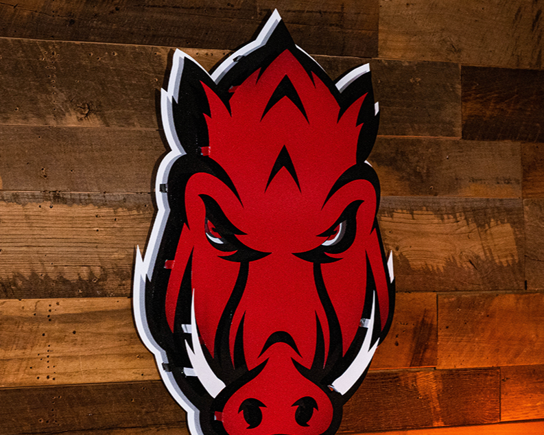 Arkansas Razorbacks Mascot 3D Vintage Metal Wall Art