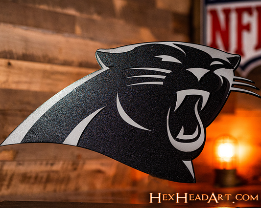 MONOCHROME - Carolina Panthers 3D Vintage Metal Wall Art