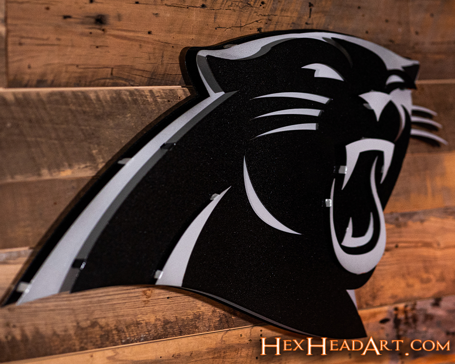 MONOCHROME - Carolina Panthers 3D Vintage Metal Wall Art