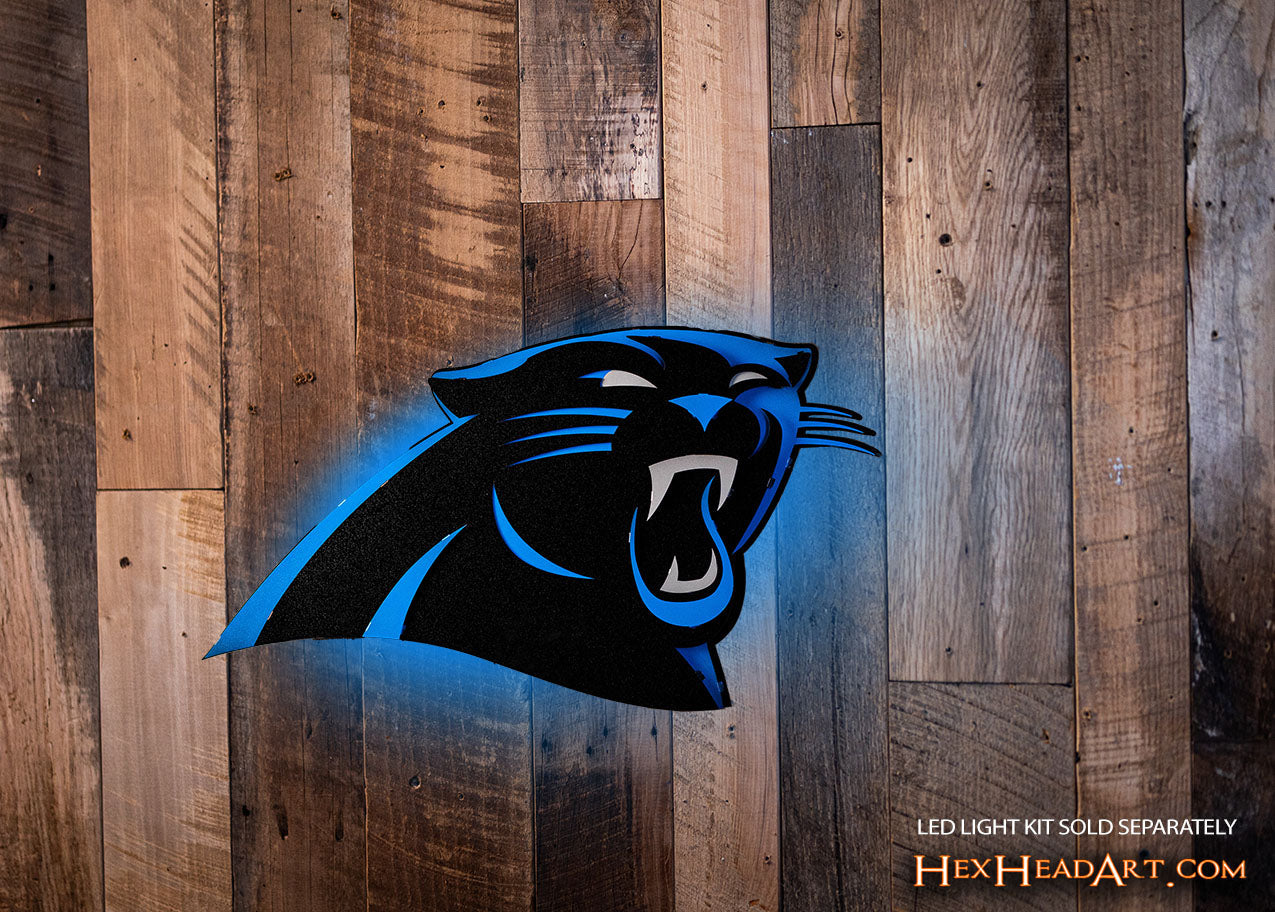 Carolina Panthers 3D Vintage Metal Wall Art