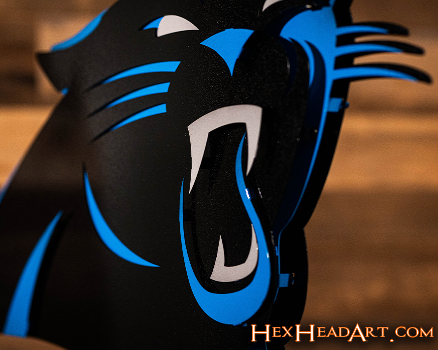 Carolina Panthers 3D Vintage Metal Wall Art