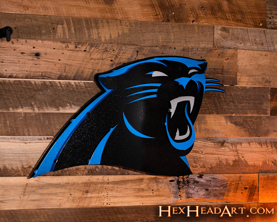 Carolina Panthers 3D Vintage Metal Wall Art