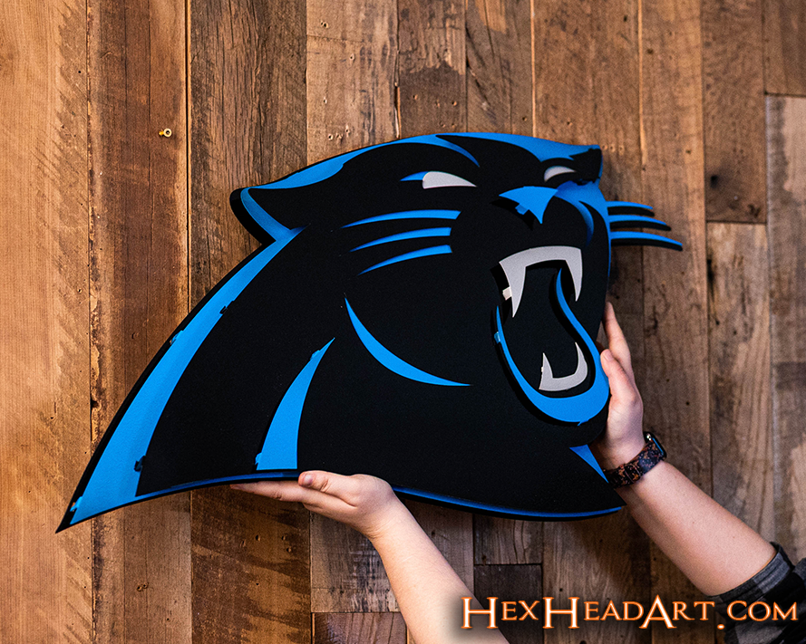 Carolina Panthers 3D Vintage Metal Wall Art