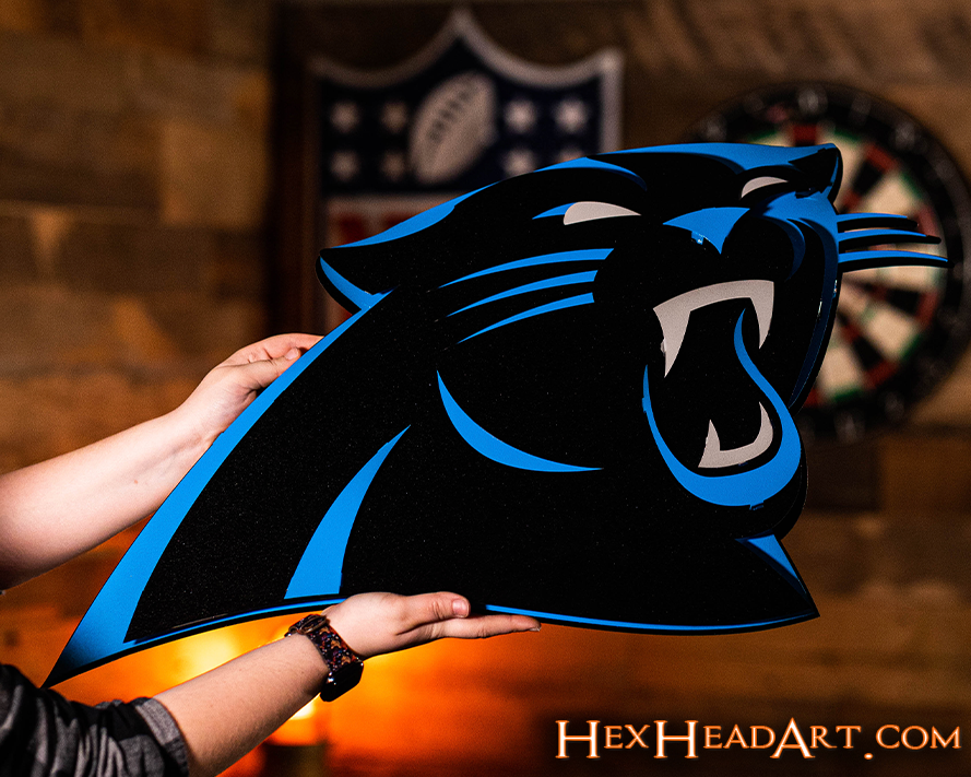 Carolina Panthers 3D Vintage Metal Wall Art