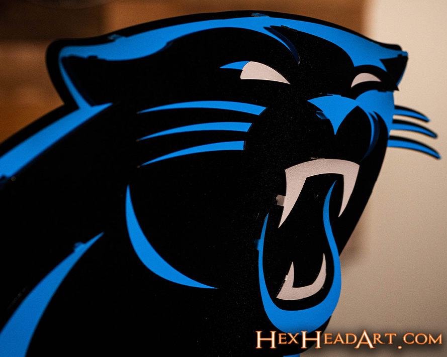 Carolina Panthers 3D Vintage Metal Wall Art