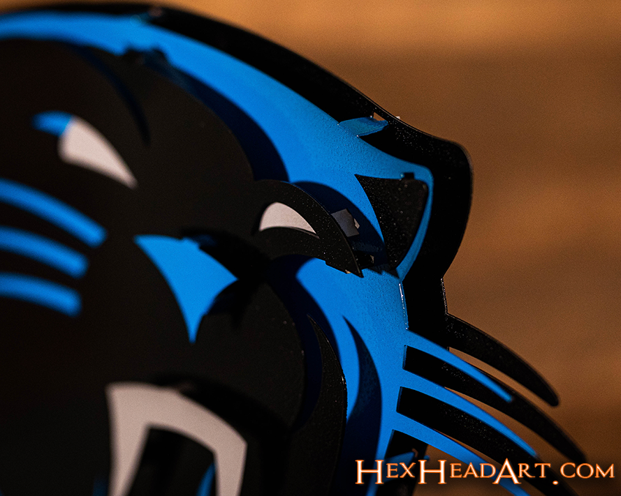 Carolina Panthers 3D Vintage Metal Wall Art