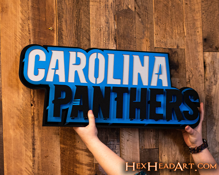 Carolina Panthers Namemark 3D Vintage Metal Wall Art