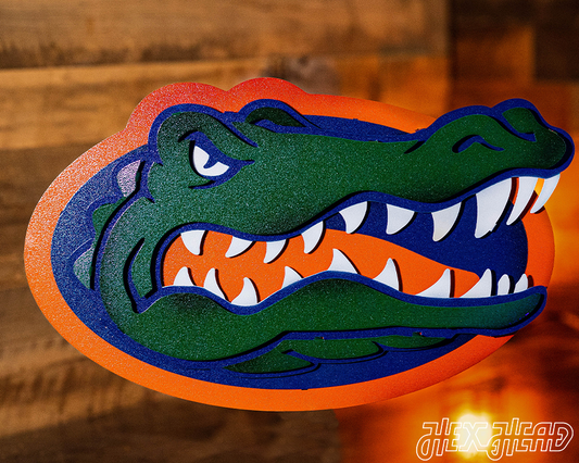 Florida Gators "GATOR HEAD"  3D Vintage Metal Wall Art