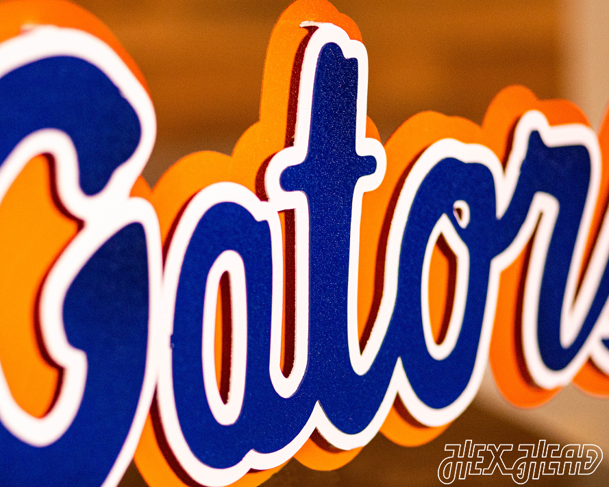 Florida "GATORS" 3D Vintage Metal Wall Art