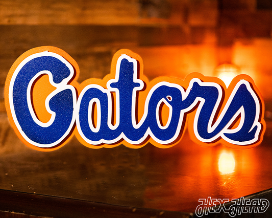 Florida "GATORS" 3D Vintage Metal Wall Art