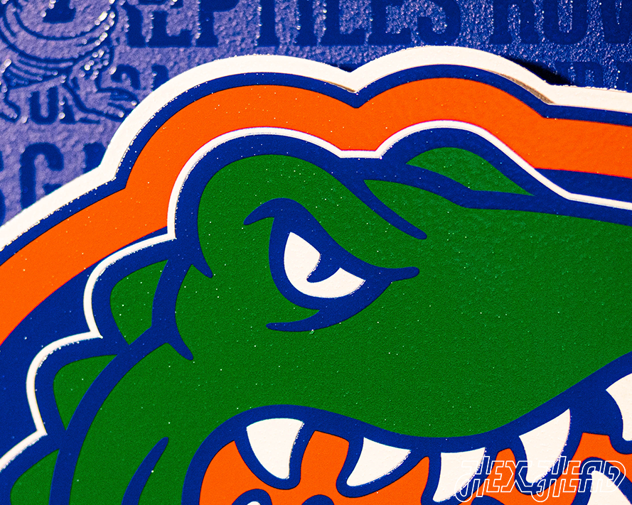 Florida Gators CRAFT SERIES 3D Vintage Metal Wall Art