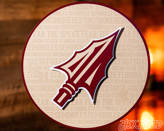 Florida State Seminoles CRAFT SERIES 3D Vintage Metal Wall Art