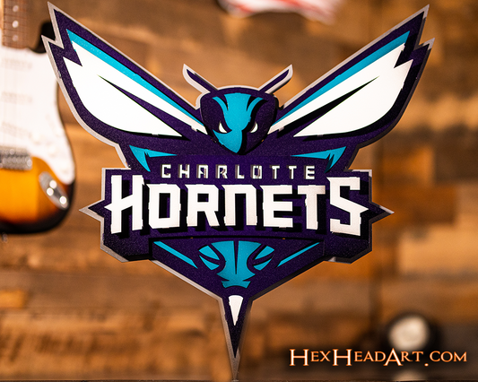 Charlotte Hornets NBA 3D Vintage Metal Wall Art