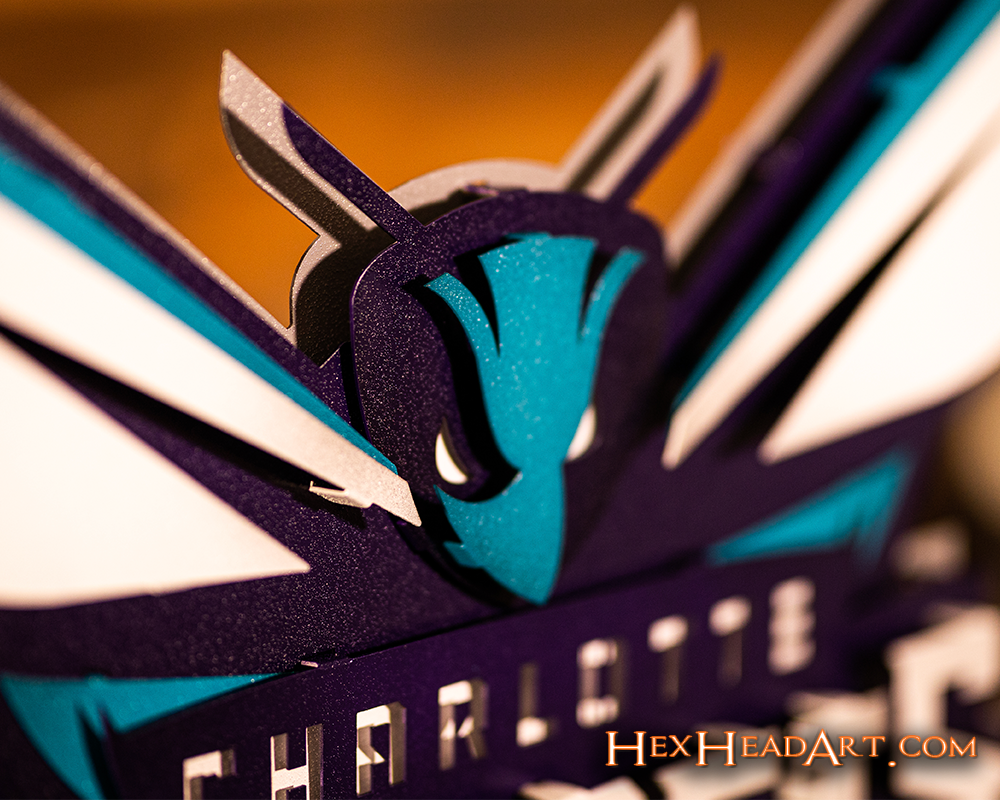 Charlotte Hornets NBA 3D Vintage Metal Wall Art