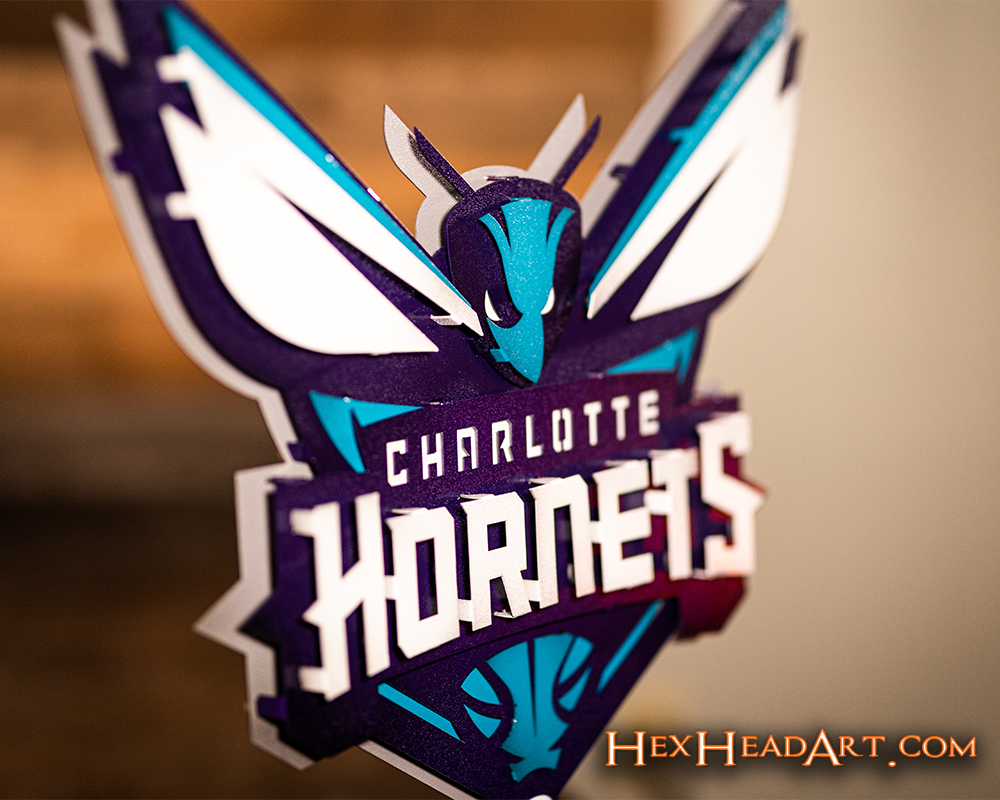 Charlotte Hornets NBA 3D Vintage Metal Wall Art