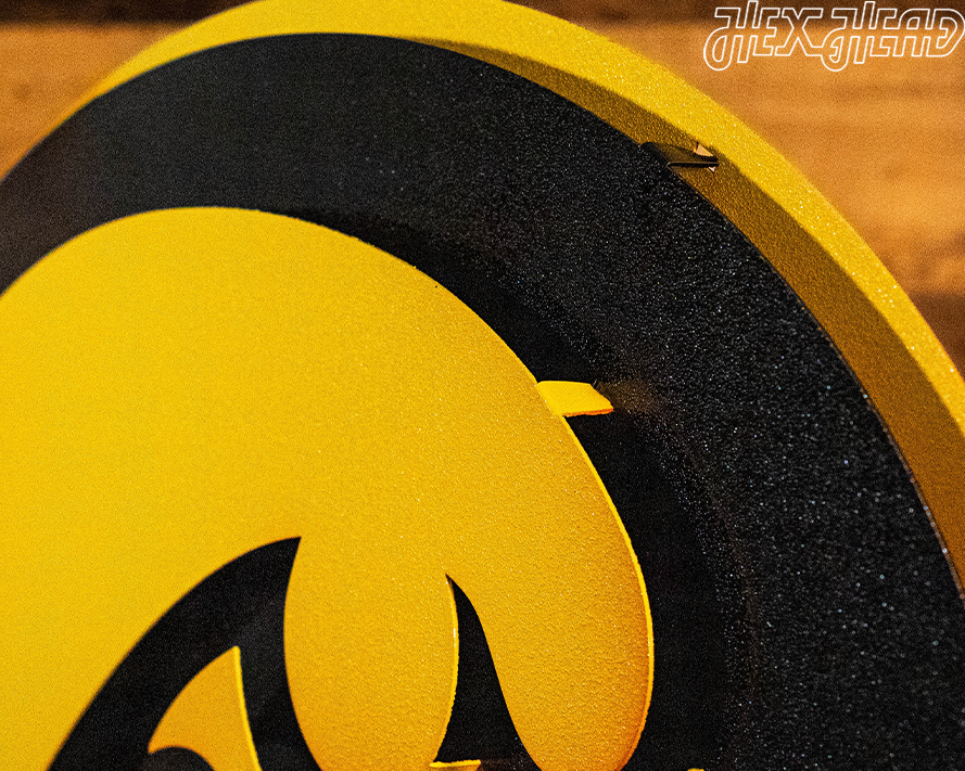 Iowa Hawkeyes Tigerhawk 3D Metal Wall Art