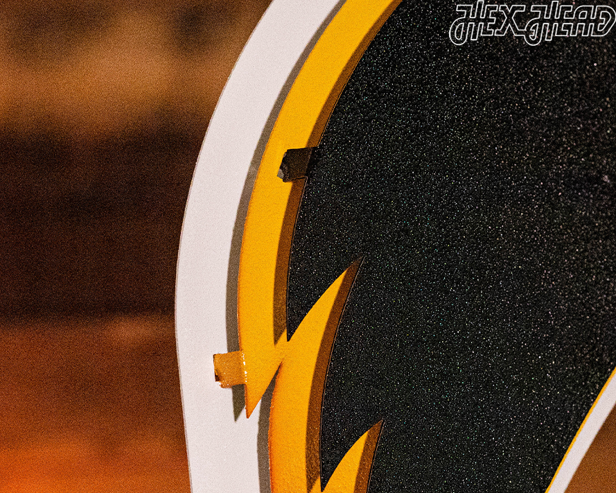 Iowa Hawkeyes Mascot with "HAWKEYES"  3D Metal Wall Art