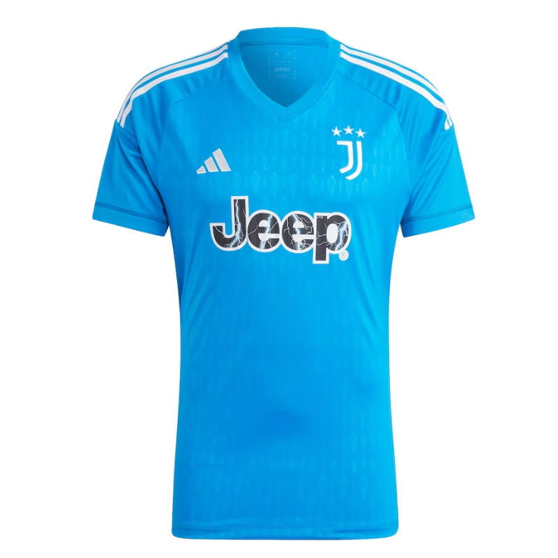 Juventus Goalkeeper Shirt 2023-24 Home Jersey - Blue