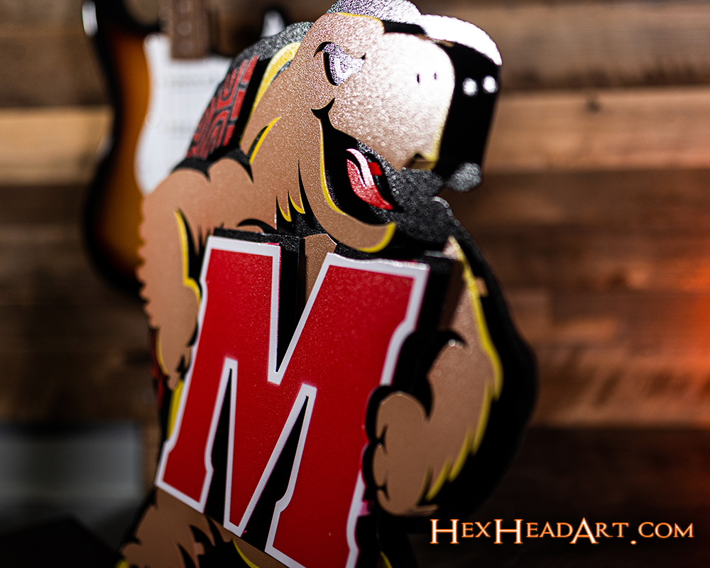 Maryland Terrapins "Testudo" 3D Vintage Metal Wall Art