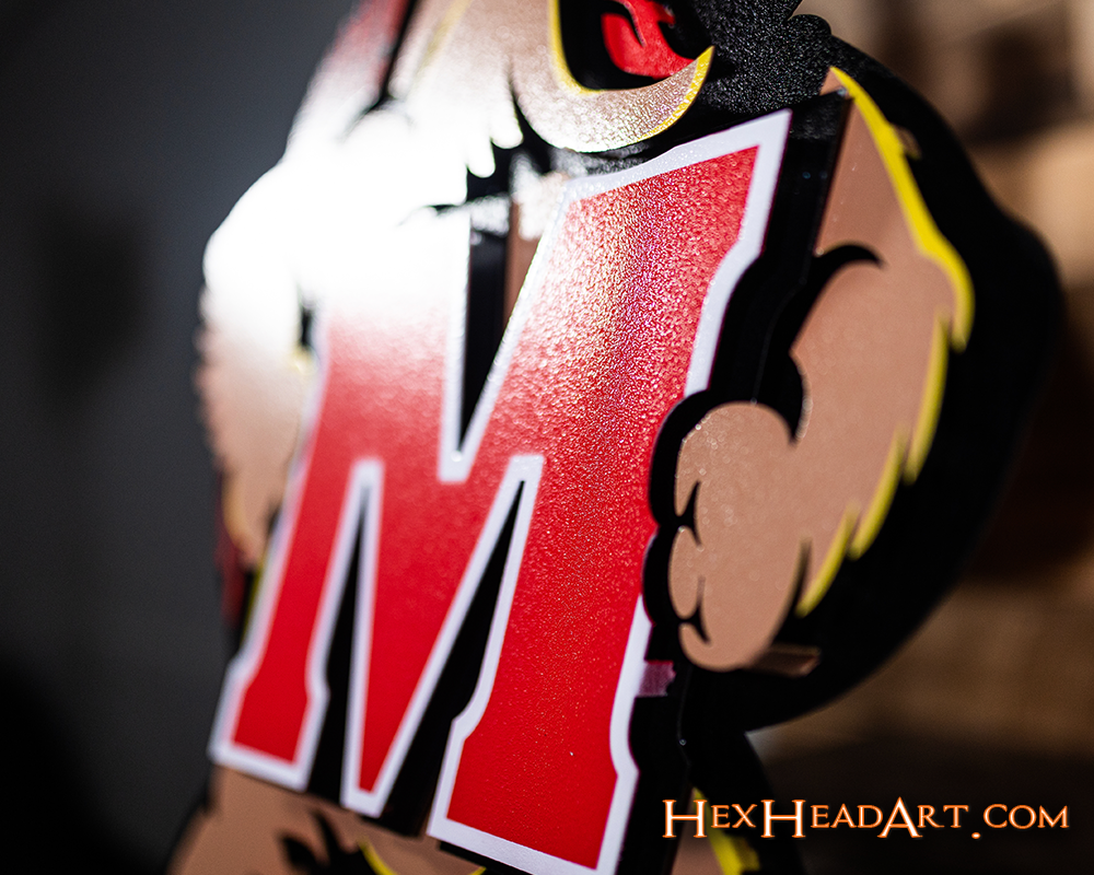 Maryland Terrapins "Testudo" 3D Vintage Metal Wall Art