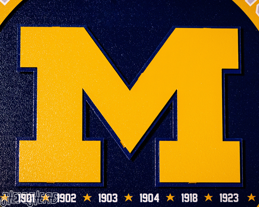 Michigan Wolverines "Hex Head Exclusive" DYNASTY 3D Metal Wall Art