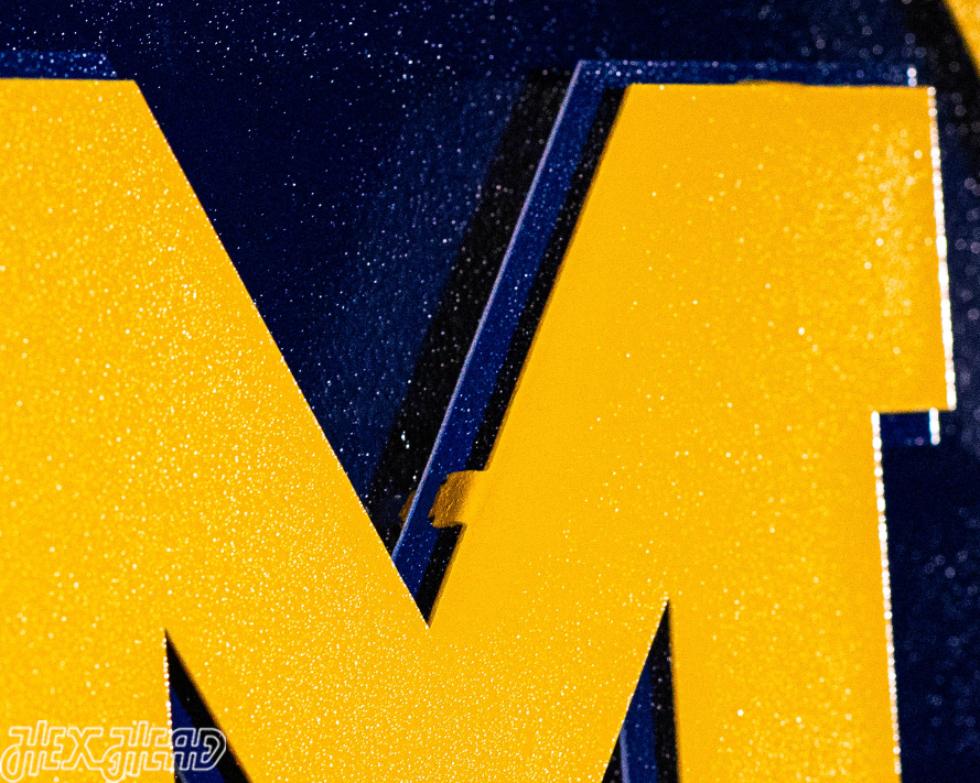 Michigan Wolverines "Hex Head Exclusive" DYNASTY 3D Metal Wall Art