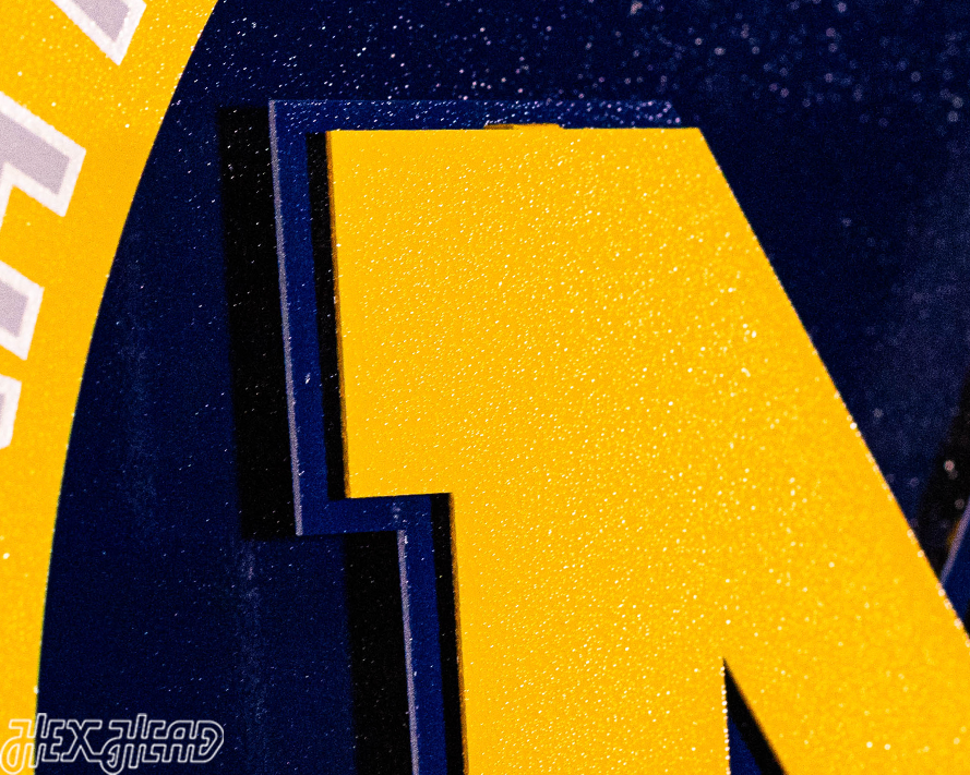 Michigan Wolverines "Hex Head Exclusive" DYNASTY 3D Metal Wall Art