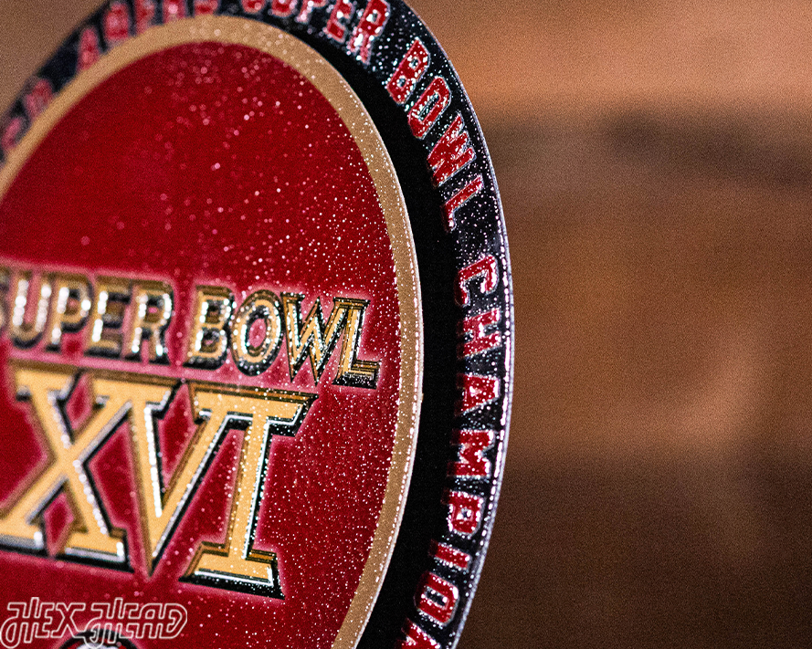 San Francisco 49ers Super Bowl XVI "DOUBLE PLAY" On The Shelf or On The Wall