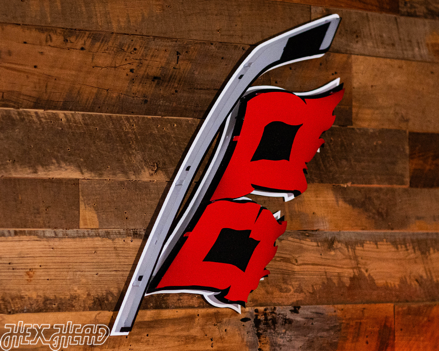 Carolina Hurricanes Flag NHL 3D Vintage Metal Wall Art