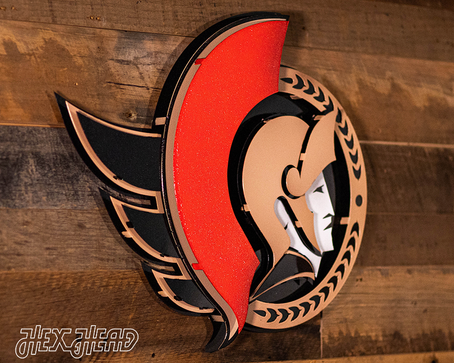 Ottawa Senators 3D Vintage Metal Wall Art