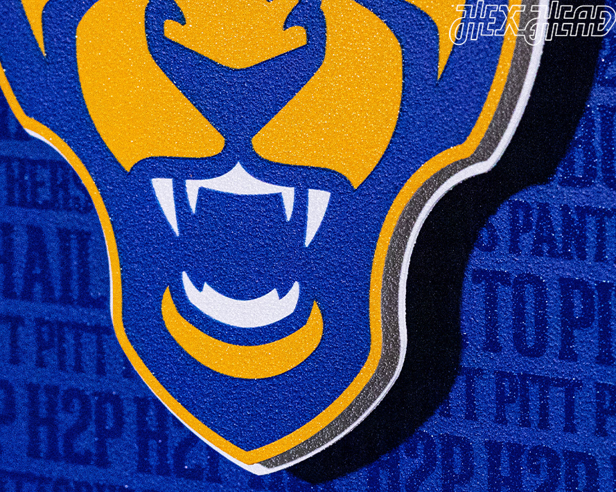 Pittsburgh Panthers CRAFT SERIES 3D Embossed Metal Wall Art