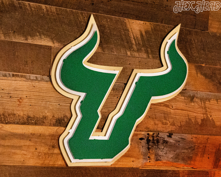 South Florida Bulls "U" 3D Vintage Metal Wall Art