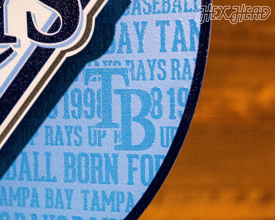 Tampa Bay Rays CRAFT SERIES 3D Embossed Metal Wall Art