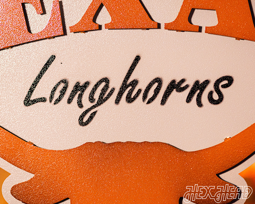 Texas Longhorns HEX HEAD EXCLUSIVE Design  3D Metal Art