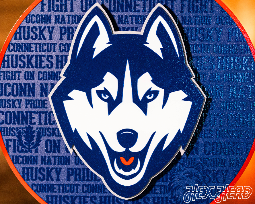 Connecticut UCONN Huskies CRAFT SERIES 3D Metal Wall Art