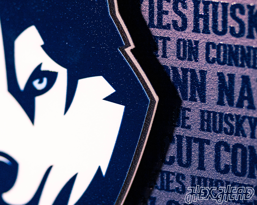 Connecticut UCONN Huskies CRAFT SERIES 3D Metal Wall Art