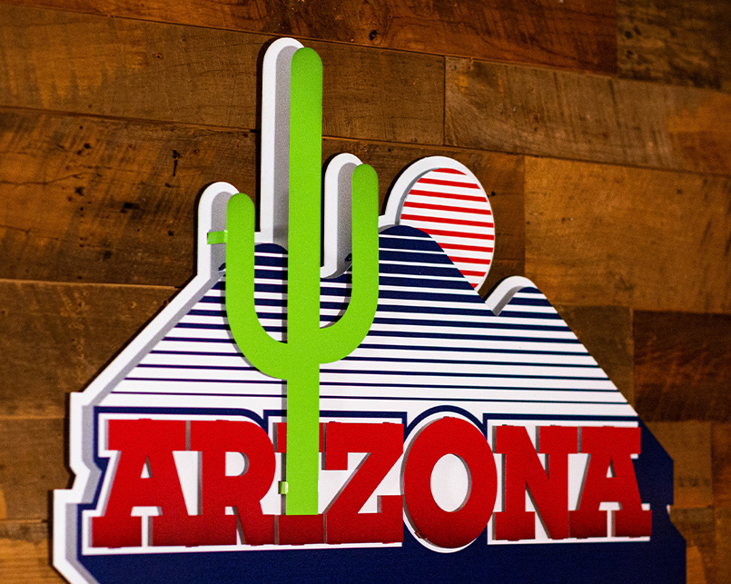 Arizona Wildcats Vintage "Cactus" Desert logo