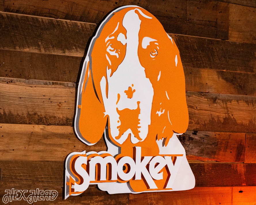 Tennessee Volunteers from the VAULT Old "Smokey" 3D Vintage Metal Wall Art