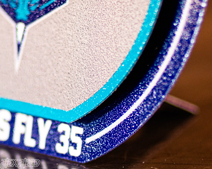 Charlotte Hornets "Double Play" On the Shelf or on the Wall Art