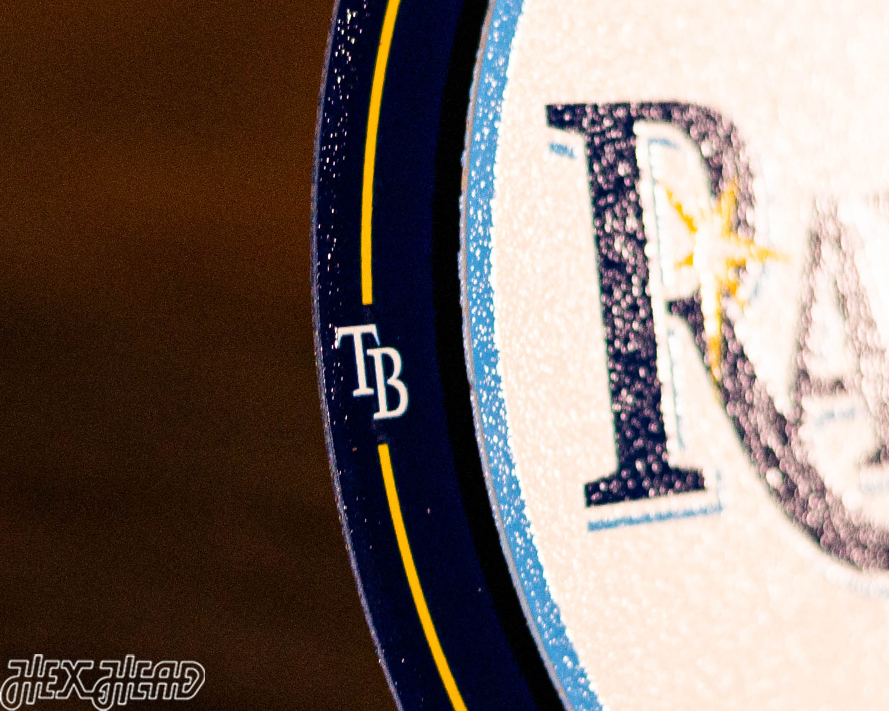 Tampa Bay Rays "Double Play" On the Shelf or on the Wall Art