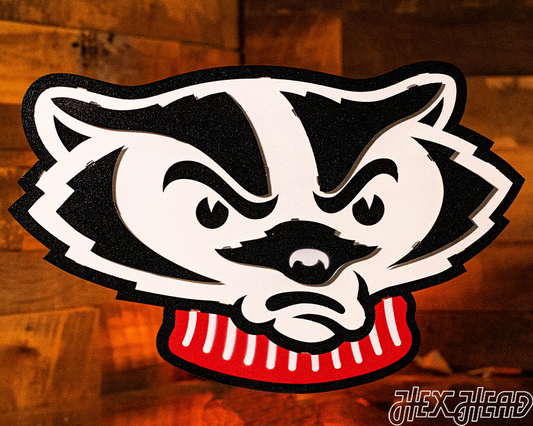 Wisconsin Badgers Mascot Head 3D Vintage Metal Wall Art