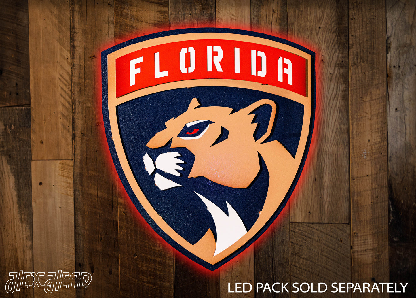 Florida Panthers NHL 3D Vintage Metal Wall Art