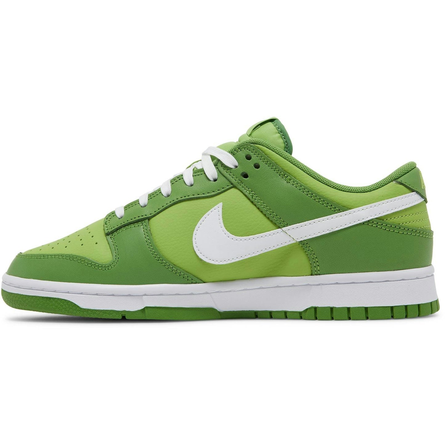 Nike Dunk Low Retro Chlorophyll DJ6188-300