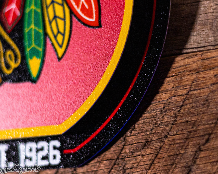 Chicago Blackhawks "Double Play" On the Shelf or on the Wall Art