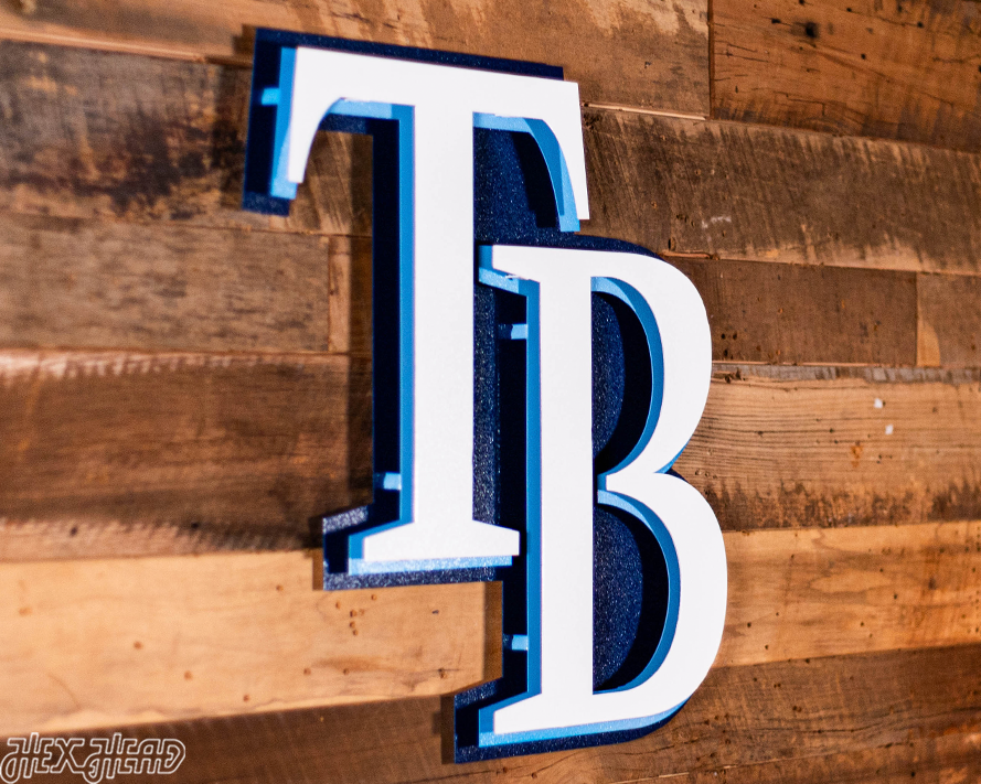 Tampa Bay Rays TB Logo 3D Metal Wall Art