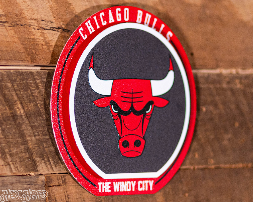 Chicago Bulls "Double Play" On the Shelf or on the Wall Art