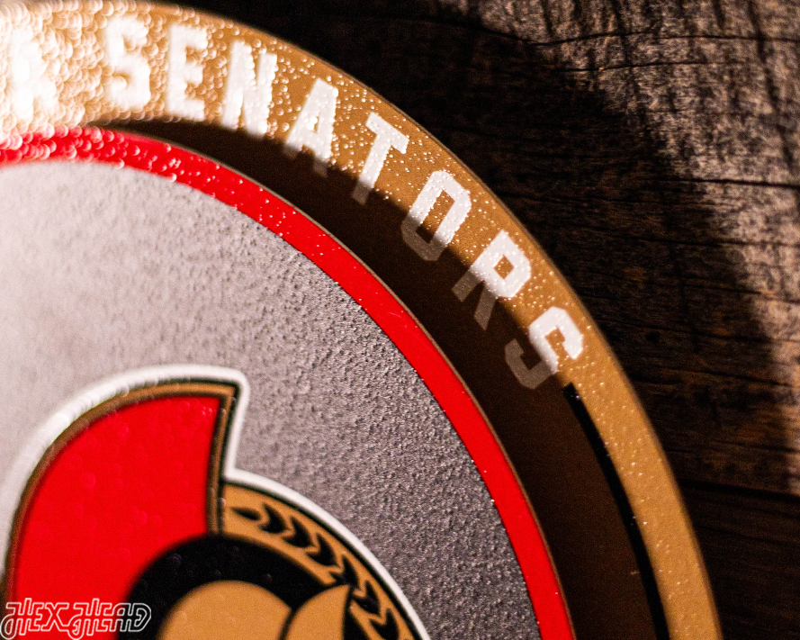 Ottawa Senators "Double Play" On the Shelf or on the Wall Art