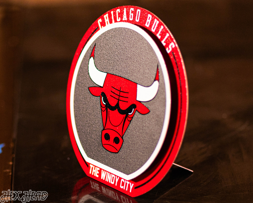 Chicago Bulls "Double Play" On the Shelf or on the Wall Art